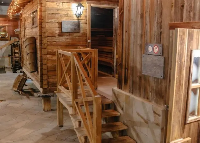 Thermalhotel De France 酒店 4*