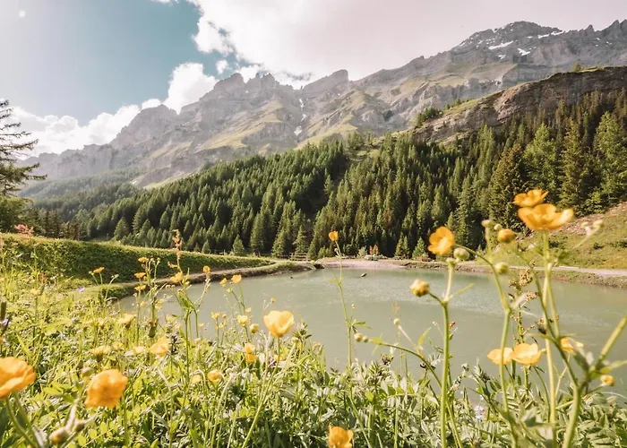 Thermalhotel De France 酒店 洛伊克巴德