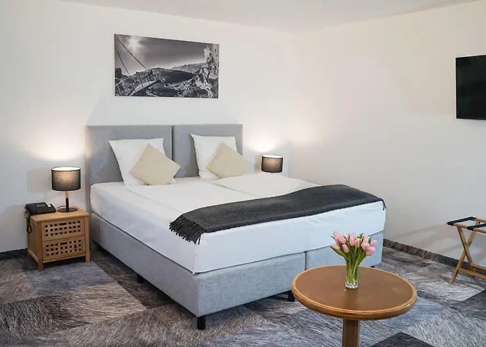 酒店 Thermalhotel De France 4*