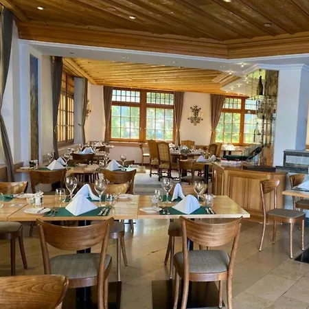 Готель Thermalhotel De France