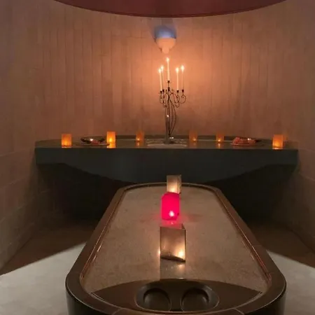 מלון Thermalhotel De France לויקרבאד